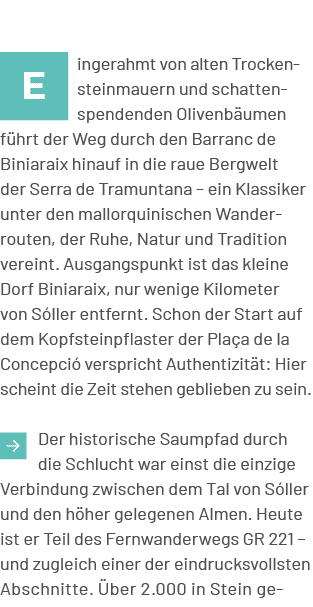 ￼ingerahmt von alten Trockensteinmauern und schattenspendenden Olivenb umen f hrt der Weg durch den Barranc de Biniar...