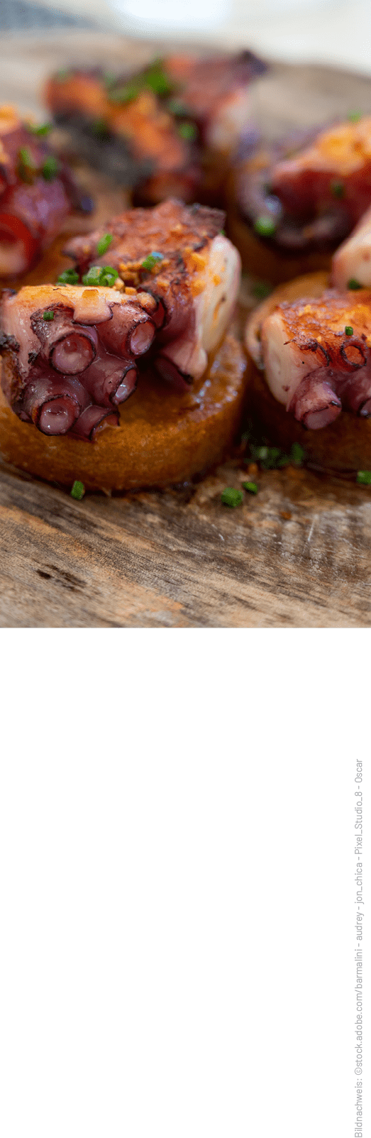 Bildnachweis: ©stock.adobe.com/barmalini audrey jon_chica Pixel_Studio_8 Osca