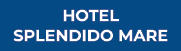 Hotel Splendido Mare