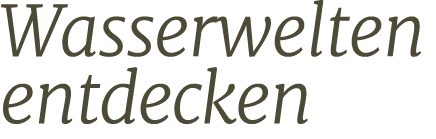 Wasserwelten entdecken