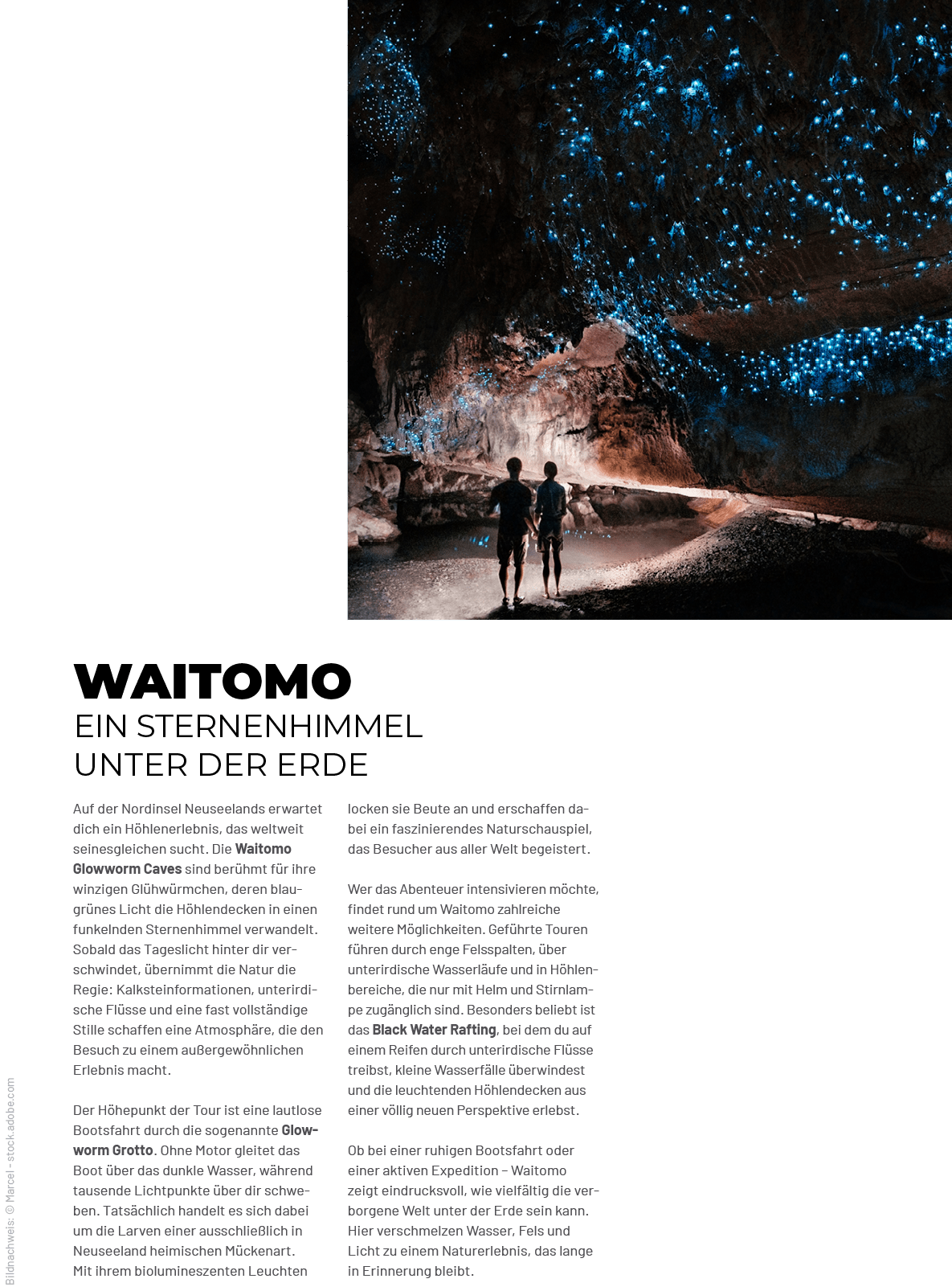 Bildnachweis: © Marcel stock.adobe.com,Waitomo Ein Sternenhimmel unter der Erde,locken sie Beute an und erschaffen da...