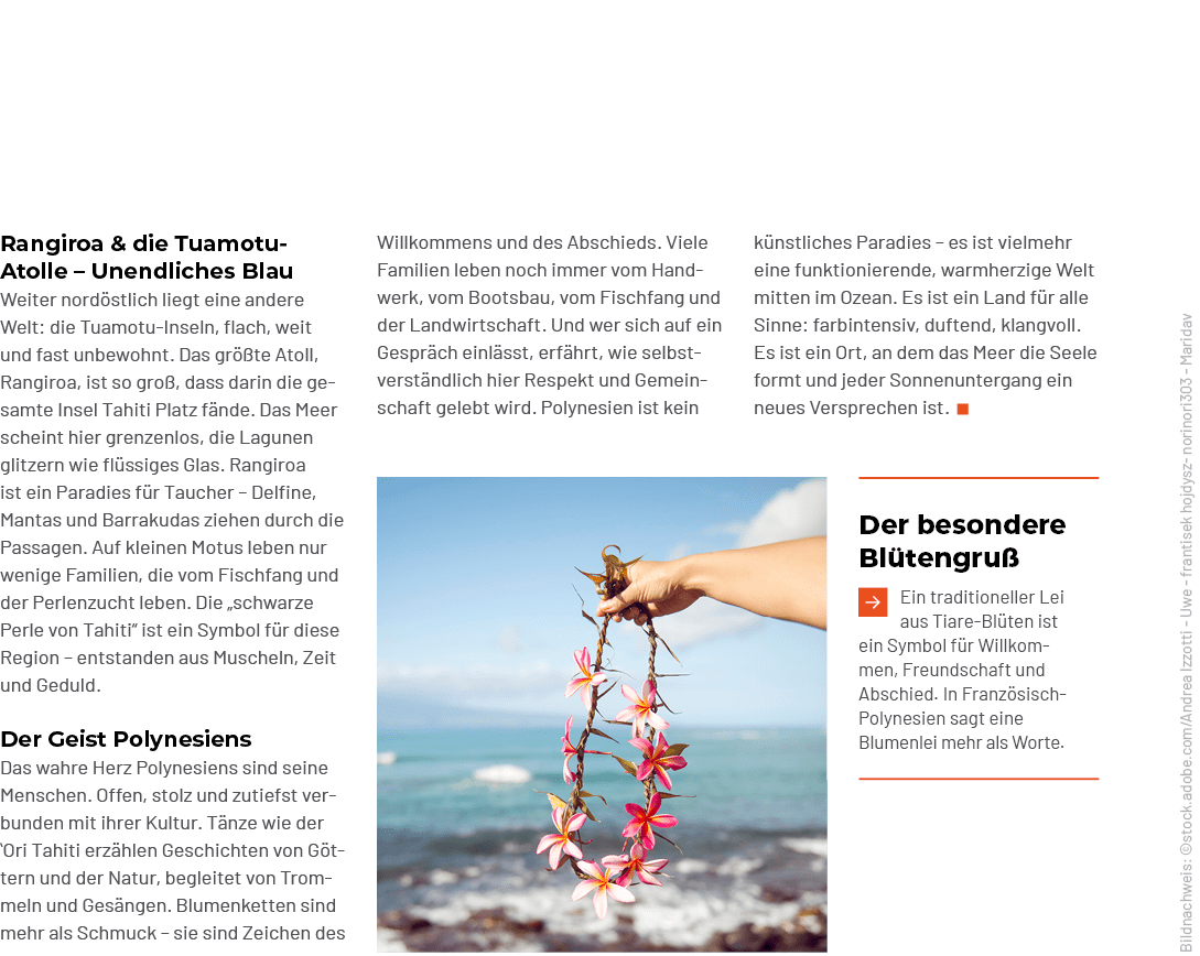k nstliches Paradies – es ist vielmehr eine funktionierende, warmherzige Welt mitten im Ozean. Es ist ein Land f r al...