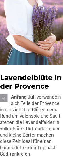 Lavendelbl te in der Provence ￼Anfang Juli verwandeln sich Teile der Provence in ein violettes Bl tenmeer. Rund um Va...
