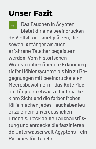 Unser Fazit ￼Das Tauchen in gypten bietet dir eine beeindruckende Vielfalt an Tauchpl tzen, die sowohl Anf nger als ...