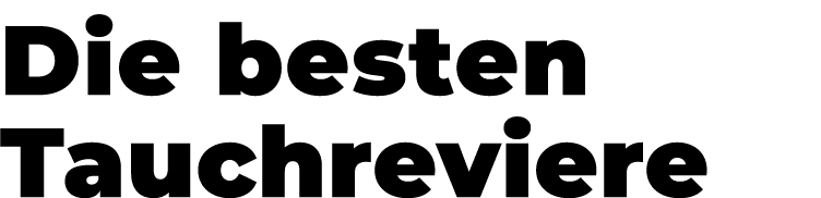 Die besten Tauchreviere