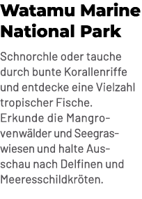 Watamu Marine National Park Schnorchle oder tauche durch bunte Korallenriffe und entdecke eine Vielzahl tropischer Fi...