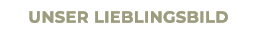 unser Lieblingsbild