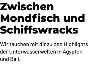 Zwischen Mondfisch und Schiffswracks Wir tauchen mit dir zu den Highlights der Unterwasserwelten in gypten und Bali.