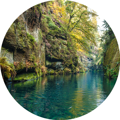 Smaragdgr ner Fluss flie t durch bewachsene, moosige Felsen in einer engen Schlucht.