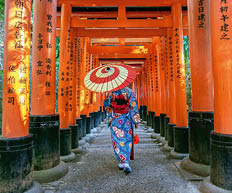 Asiatische Fraue in traditionellen japanischen Kimonos am Fushimi-Inari-Schrein in Kyoto, Japan.
