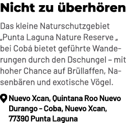 Nicht zu berh ren Das kleine Naturschutzgebiet „Punta Laguna Nature Reserve „ bei Cob  bietet gef hrte Wanderungen d...
