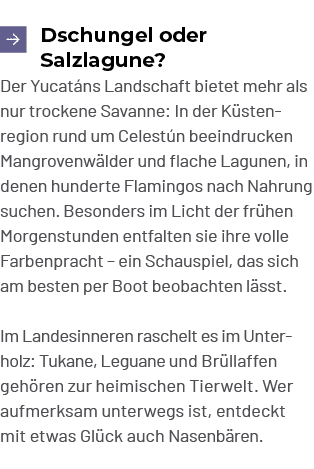 ￼Dschungel oder Salzlagune? Der Yucat ns Landschaft bietet mehr als nur trockene Savanne: In der K stenregion rund um...