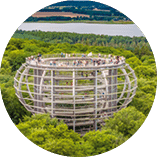 Baumwipfelpfad Prora auf R gen: Aussichtsplattform in kugelf rmiger Holzkonstruktion ragt ber dicht bewaldetes Gebiet.