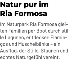 Natur pur im Ria Formosa Im Naturpark Ria Formosa gleiten Familien per Boot durch stille Lagunen, entdecken Flamingos...