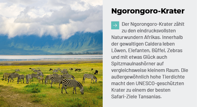 Ngorongoro Krater ￼Der Ngorongoro Krater z hlt zu den eindrucksvollsten Naturwundern Afrikas. Innerhalb der gewaltige...