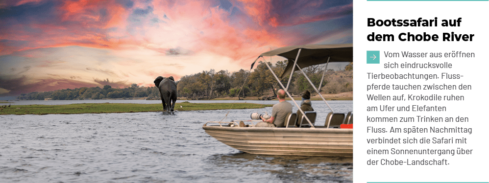Bootssafari auf dem Chobe River ￼Vom Wasser aus er ffnen sich eindrucksvolle Tierbeobachtungen. Flusspferde tauchen z...