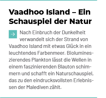 Vaadhoo Island – Ein Schauspiel der Natur ￼Nach Einbruch der Dunkelheit verwandelt sich der Strand von Vaadhoo Island...