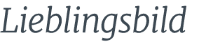 Lieblingsbild 