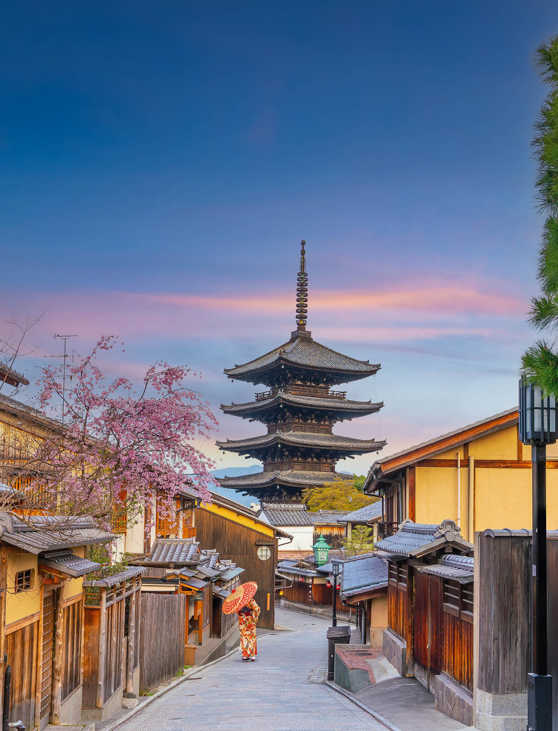 Old town Kyoto during sakura season in Japan at sunset