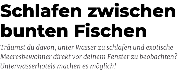 Schlafen zwischen bunten Fischen Tr umst du davon, unter Wasser zu schlafen und exotische Meeresbewohner direkt vor d...