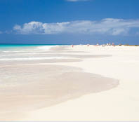 Beautiful endless Santa Monica Beach in Boa Vista island