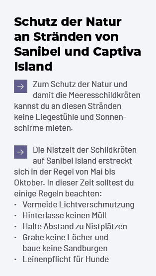 Schutz der Natur an Str nden von Sanibel und Captiva Island ￼ Zum Schutz der Natur und damit die Meeresschildkr ten k...