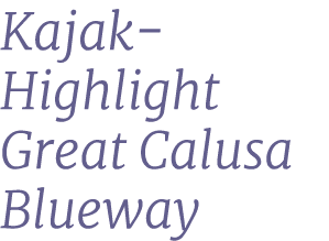 Kajak Highlight Great Calusa Blueway