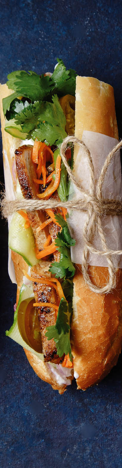 Classical banh-mi sandwich with sliced grilled pork tenderloin, shredded carrots and peeled cucumbers, jalapeno peppers and cilantro on dark blue background with copy space