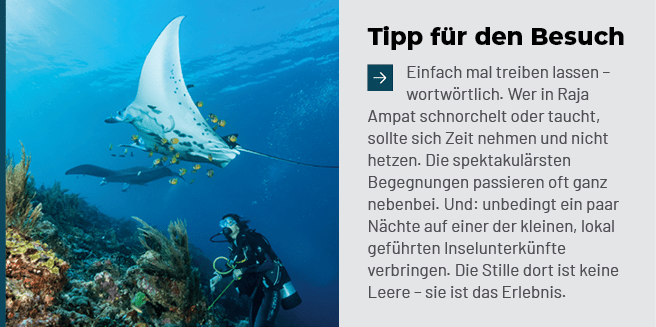 Tipp f r den Besuch ￼Einfach mal treiben lassen – wortw rtlich. Wer in Raja Ampat schnorchelt oder taucht, sollte sic...