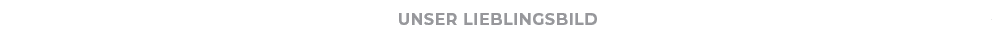 Unser LIEBLINGSBIL