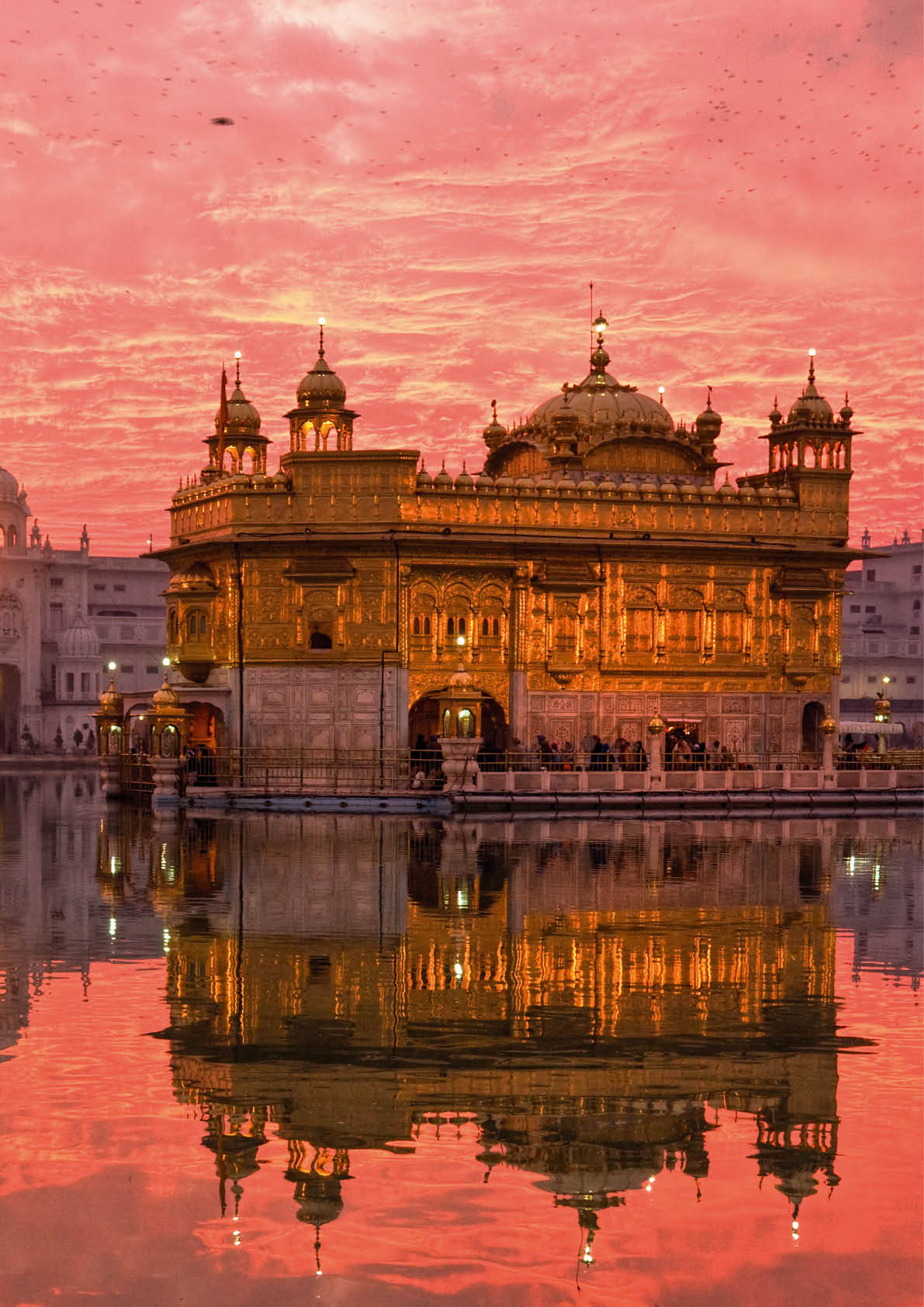  Golden Temple at sunset, Amritsar, Punjab, India.