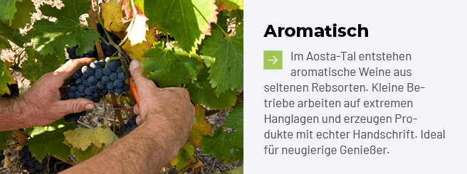 Aromatisch ￼Im Aosta Tal entstehen aromatische Weine aus seltenen Rebsorten. Kleine Be triebe arbeiten auf extremen H...