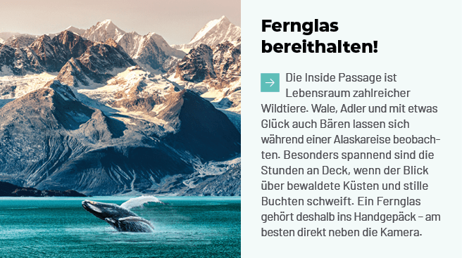 Fernglas bereithalten! ￼Die Inside Passage ist Lebensraum zahlreicher Wildtiere. Wale, Adler und mit etwas Gl ck auch...