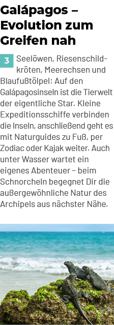 Gal pagos – Evolution zum Greifen nah ￼Seel wen, Riesenschildkr ten, Meerechsen und Blaufu t lpel: Auf den Gal pagosi...