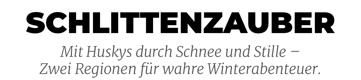 Mit Huskys durch Schnee und Stille – Zwei Regionen f r wahre Winterabenteuer.,schlittenzaube