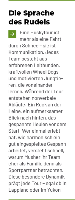 Die Sprache des Rudels ￼Eine Huskytour ist mehr als eine Fahrt durch Schnee – sie ist Kommunikation. Jedes Team beste...