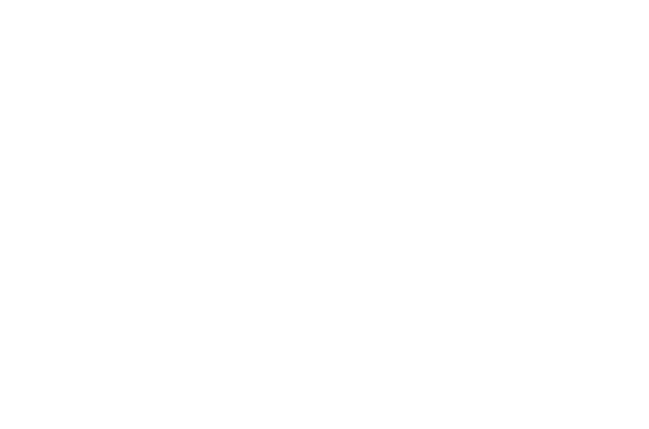 Die Wagner Festspiele 2025
