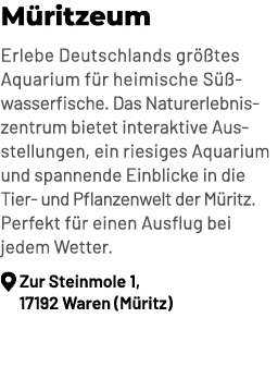 M ritzeum Erlebe Deutschlands gr tes Aquarium f r heimische S   wasserfische. Das Naturerlebnis zentrum bietet inter...