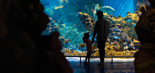 A man and a girl standing inside an aquarium