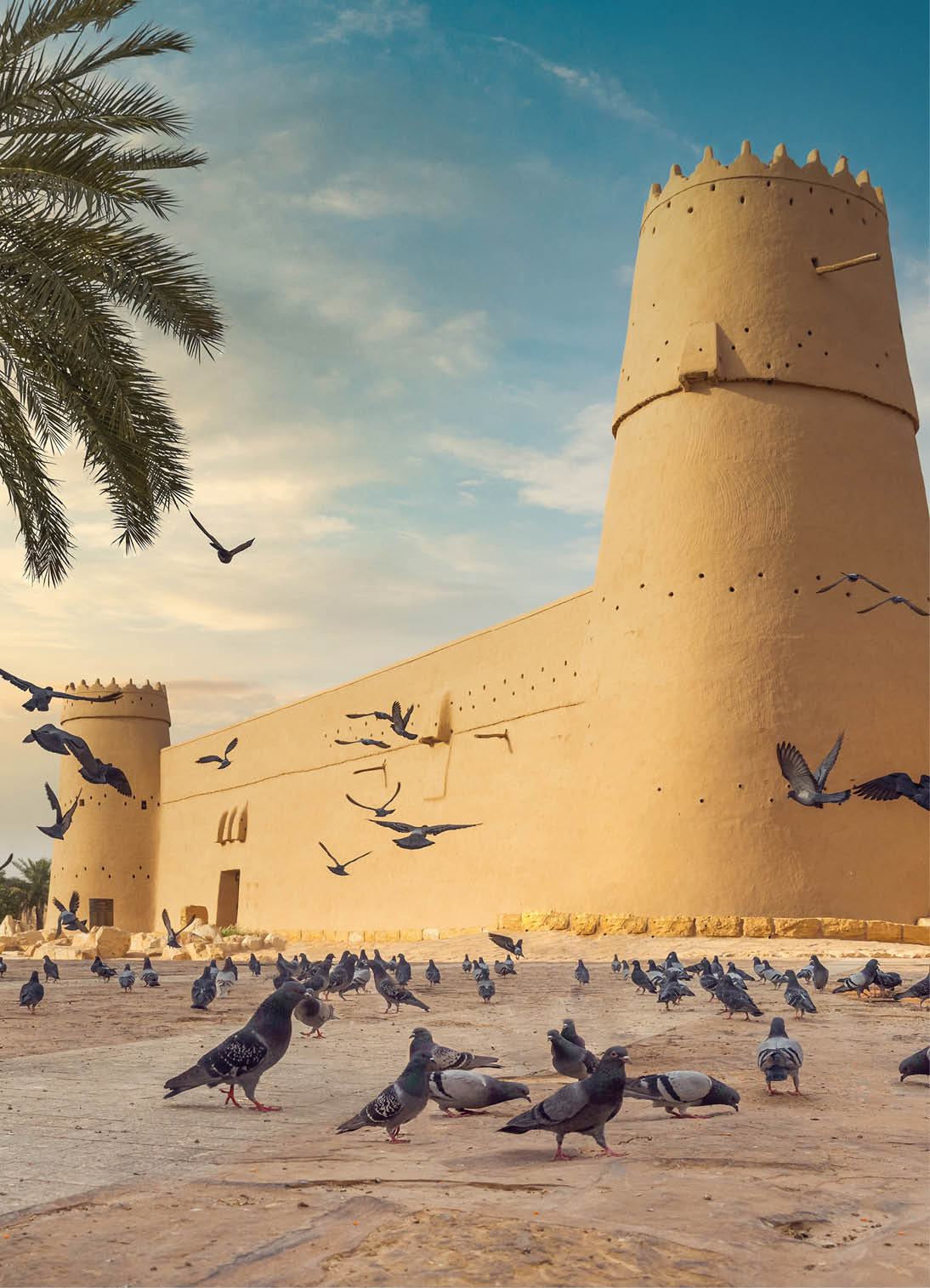 Dozens of pigeons on the plaza outside Masmak Fort, with a palm tree on the left