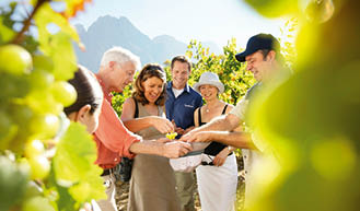  kuptag S dafrika, Boschendal, Weinberg, Gruppe von Menschen, probieren Trauben /kuptag 