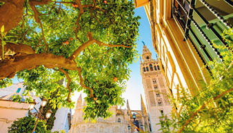 Seville city in summer, sunny Spain photo