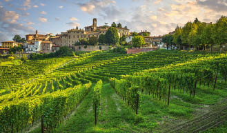 Neive village and Langhe vineyards, Unesco Site, Piedmont, Northern Italy Europe.