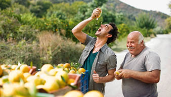 Men squashing oranges kuptag Griechenland, Kreta, Orangen, Laster, Orangen auspressen, Mann, trinken /kuptag 