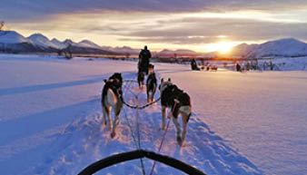 Norwegen - Winterreise Troms - NO-VCTOT