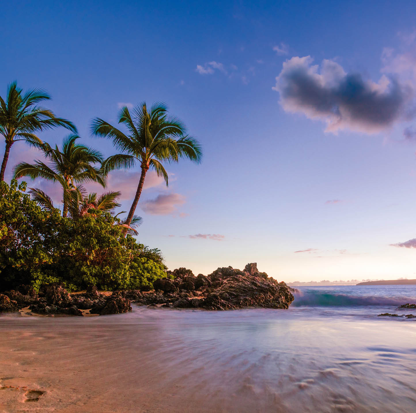 Palmen und Lavagestein an tropischem Strand bei Sonnenuntergang mit sanften Wellen