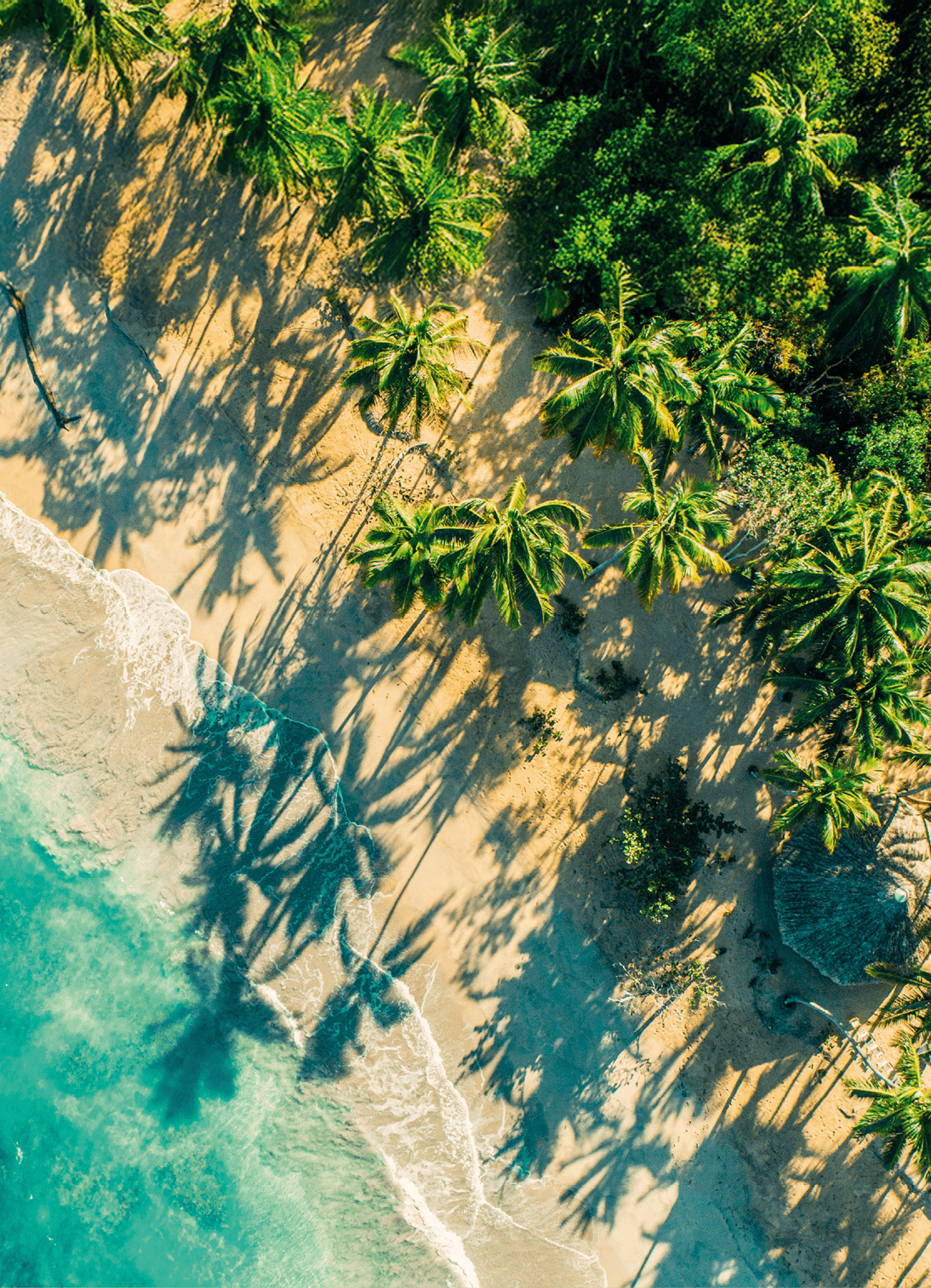 Luftaufnahme einer tropischen Bucht mit dichtem Palmenwald, wei em Sandstrand und t rkisfarbenem Meer, ein Boot liegt am Ufer.