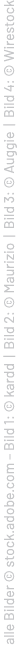 alle Bilder © stock.adobe.com – Bild 1: © kardd | Bild 2: © Maurizio | Bild 3: © Auggie | Bild 4: © Wirestock