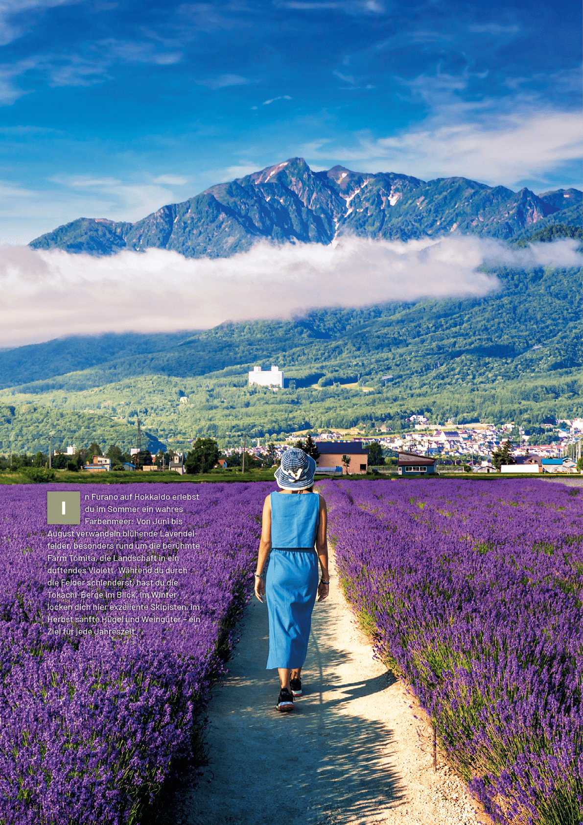 n Furano auf Hokkaido erlebst du im Sommer ein wahres Farbenmeer: Von Juni bis August verwandeln bl hende Lavendelfe...