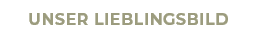 unser Lieblingsbil